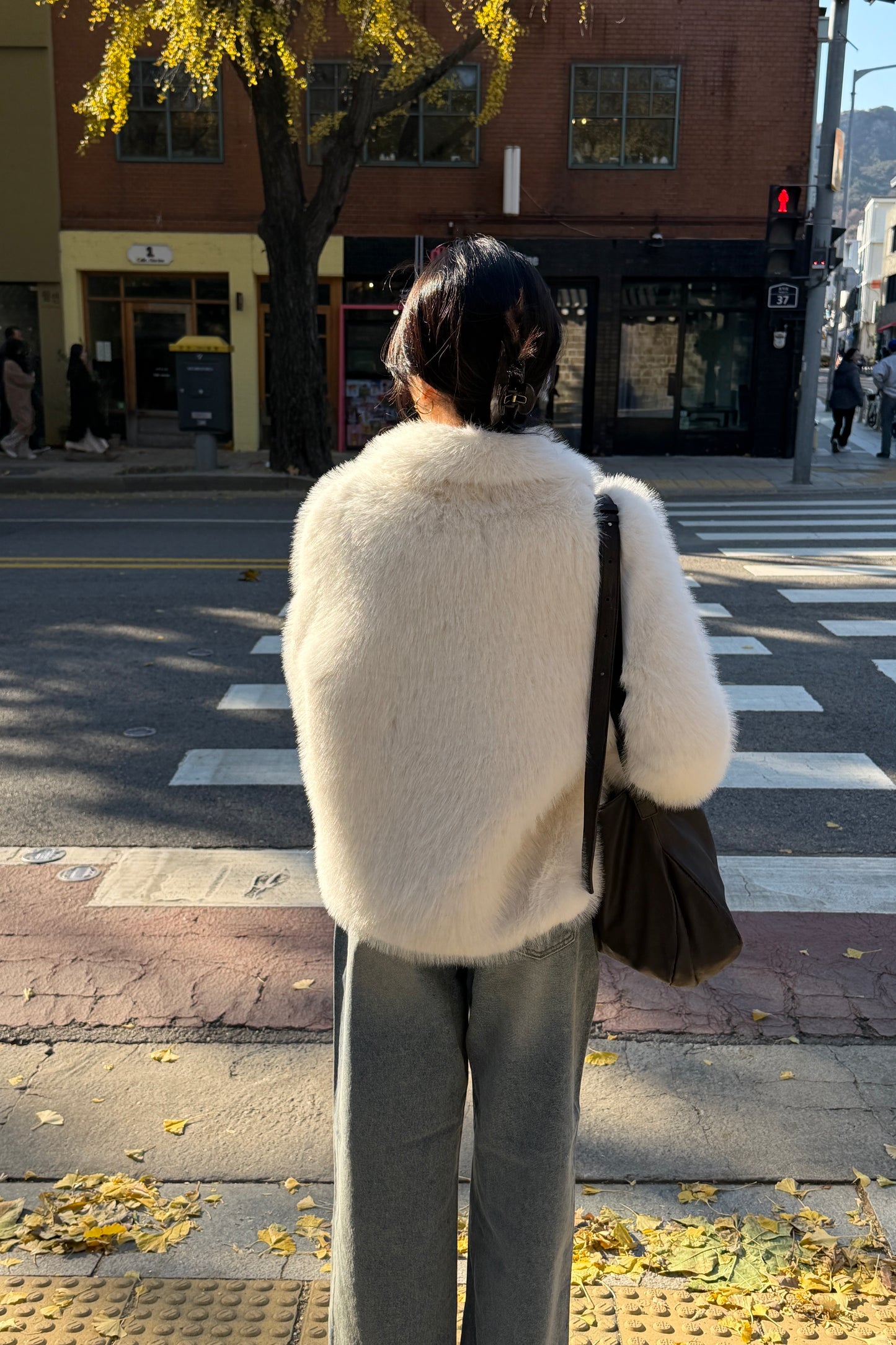 𝐍𝐨𝐯🇰🇷 Winter Cloud Fur Jacket